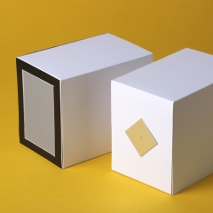 Camera Obscura